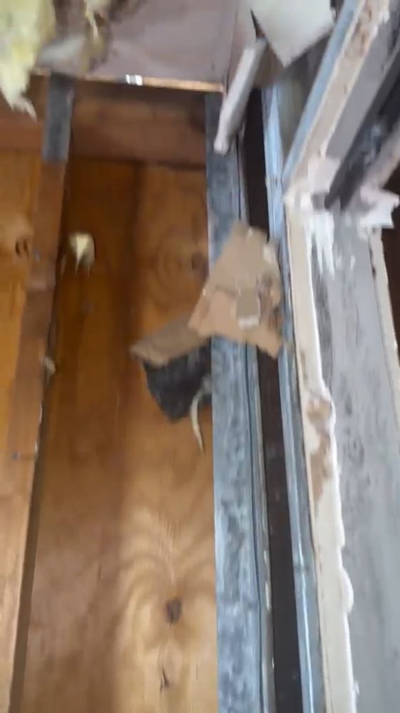 Gros plan d'une charpente apparente à côté d'une fenêtre