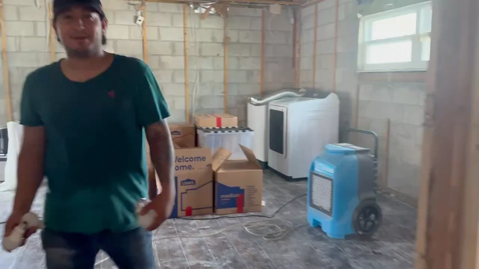 Team member standing in a room with drying equipment